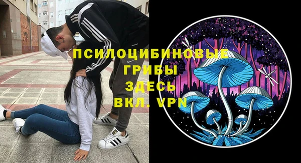 бошки Наволоки